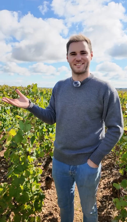 Masterclass With Pierre Vincent of Domaine Pierre Girardin